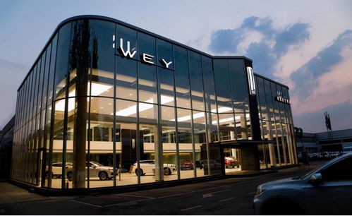 格局的力量 比亞迪無償轉(zhuǎn)讓“魏”商標(biāo)，長城魏建軍深情感動